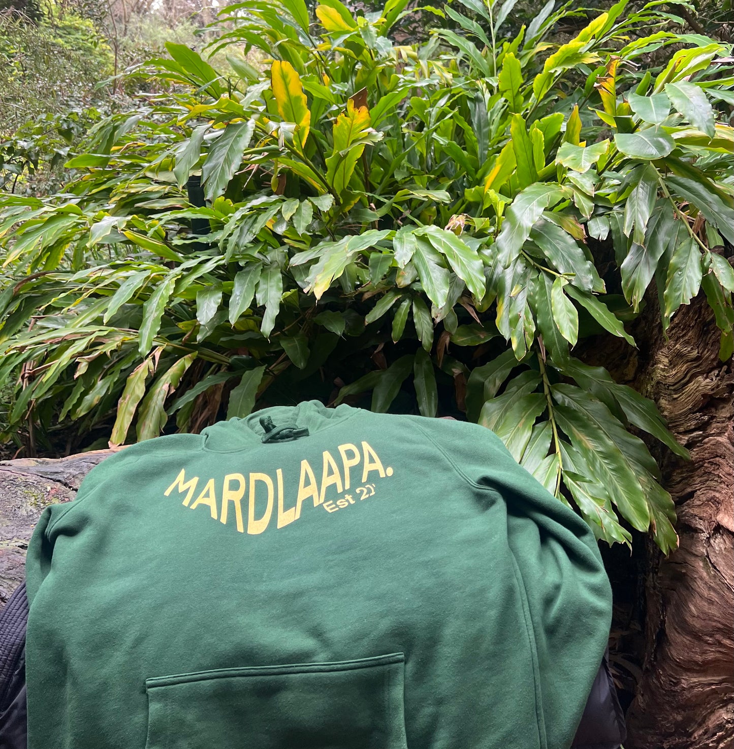 Palm Tree Hoodie in Forest Green